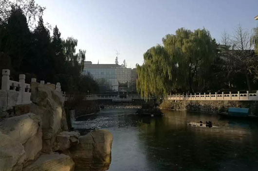 1589436708574130.jpg 5.jpg