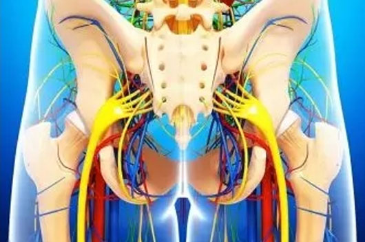 1589440487564225.jpg 10.jpg