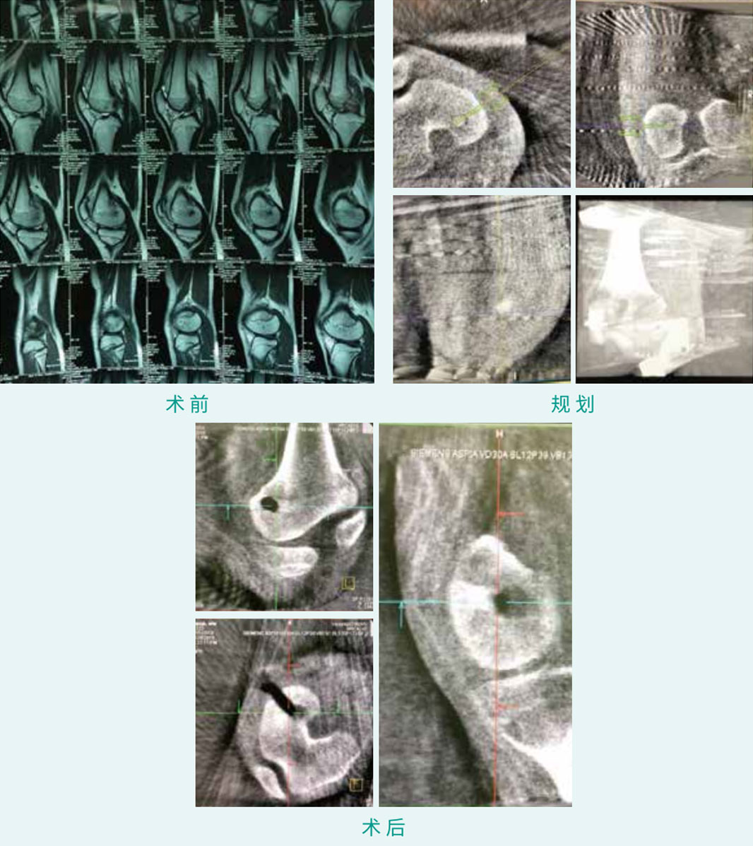 1590379292484352.jpg 12-1.jpg